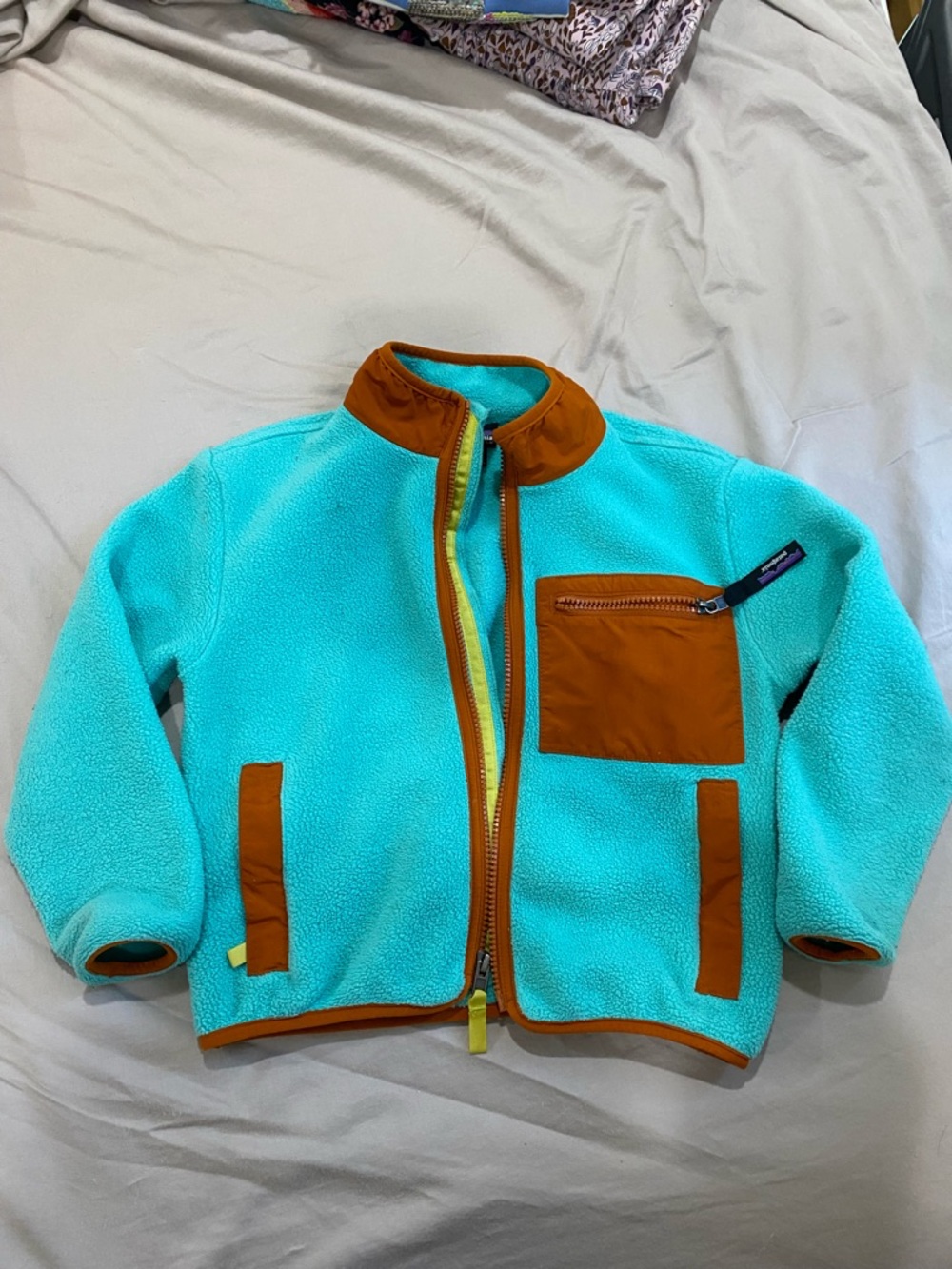 Patagonia Turquoise Synchilla Fleece with Rust Trim